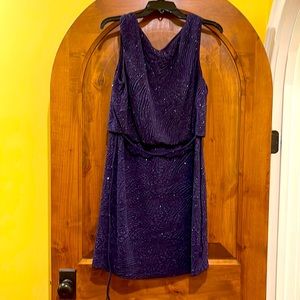 Purple shimmer cocktail dress size 12 P